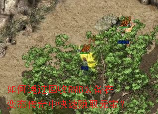 ���ͨ������RMBװ���ڱ�̬�����п���׬ȡԪ����