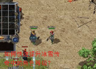 ��ο���������ѩ�����еĽ�ɫ�ȼ���