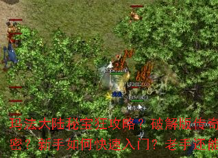 �귨��½�ر����ԣ��ƽ�洫����Ӿ�������ʲô���ܣ�������ο������ţ����ֻ���ѧ����Щ�¼��ɣ�