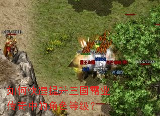如何快速提升三国霸业传奇中的角色等级? 如何快速提升三国霸业传奇中的角色等级?
