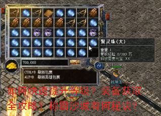 如何快速提升等级?装备获取全攻略?称霸沙城有何秘诀? 如何快速提升等级?装备获取全攻略?称霸沙城有何秘诀?