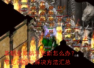 单职业微端不更新怎么办?常见问题与解决方法汇总 单职业微端不更新怎么办?常见问题与解决方法汇总