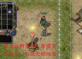 战宠如何变异?掌握变异技巧,打造无敌神宠 战宠如何变异?掌握变异技巧,打造无敌神宠