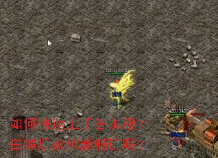 如何快速上手答本服?白嫖玩家也能畅玩吗? 如何快速上手答本服?白嫖玩家也能畅玩吗?