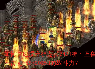 如何快速提升神龙教2421神·圣兽·青龙158100253的战斗力? 如何快速提升神龙教2421神·圣兽·青龙158100253的战斗力?