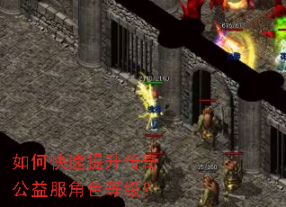 如何快速提升传奇公益服角色等级? 如何快速提升传奇公益服角色等级?