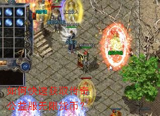 如何快速获取传奇公益服无限货币? 如何快速获取传奇公益服无限货币?