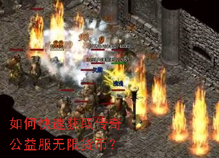 如何快速获取传奇公益服无限货币? 如何快速获取传奇公益服无限货币?