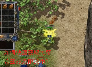 如何快速获取传奇公益服无限货币? 如何快速获取传奇公益服无限货币?