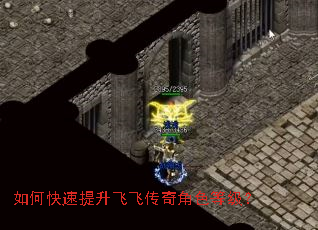 如何快速提升飞飞传奇角色等级? 如何快速提升飞飞传奇角色等级?