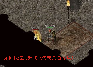 如何快速提升飞飞传奇角色等级? 如何快速提升飞飞传奇角色等级?