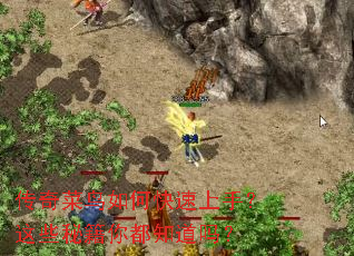 传奇菜鸟如何快速上手?这些秘籍你都知道吗? 传奇菜鸟如何快速上手?这些秘籍你都知道吗?