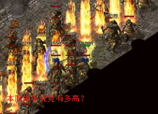 本服爆率究竟有多高? 本服爆率究竟有多高?