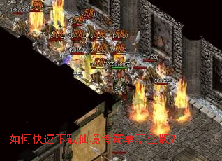 如何快速下载仙境传奇单职业版? 如何快速下载仙境传奇单职业版?