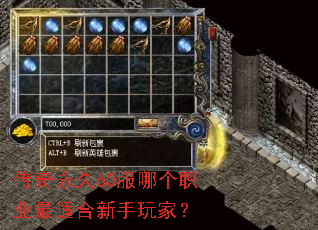 传奇永久60服哪个职业最适合新手玩家? 传奇永久60服哪个职业最适合新手玩家?
