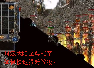 玛法大陆至尊秘辛:如何快速提升等级? 玛法大陆至尊秘辛:如何快速提升等级?