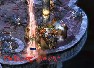 如何快速称霸气传奇家族? 如何快速称霸气传奇家族?