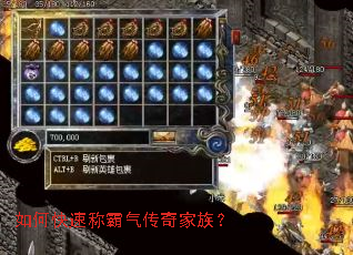 如何快速称霸气传奇家族? 如何快速称霸气传奇家族?