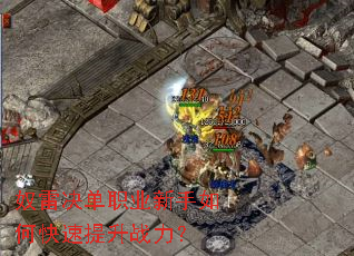 ū�׾���ְҵ������ο�������ս����