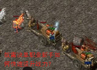 ū�׾���ְҵ������ο�������ս����