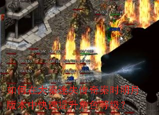 ����ڴ�����ʧ������ʱ���°汾�п���������ɫ�ȼ���
