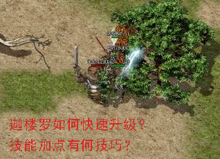 迦楼罗如何快速升级?技能加点有何技巧? 迦楼罗如何快速升级?技能加点有何技巧?