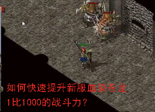 如何快速提升新服血染苍龙1比1000的战斗力? 如何快速提升新服血染苍龙1比1000的战斗力?