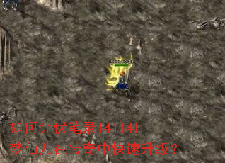 如何让伏笔录141141梦仙儿在传奇中快速升级? 如何让伏笔录141141梦仙儿在传奇中快速升级?