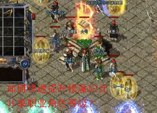 ��ο���������ħ��Ԫ��ְҵ��ɫ�ȼ���