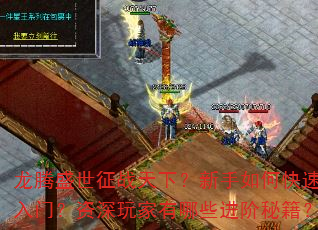龙腾盛世征战天下?新手如何快速入门?资深玩家有哪些进阶秘籍? 龙腾盛世征战天下?新手如何快速入门?资深玩家有哪些进阶秘籍?