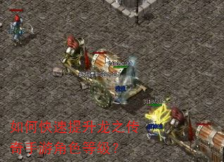 如何快速提升龙之传奇手游角色等级? 如何快速提升龙之传奇手游角色等级?