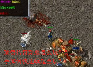 顶赞传奇新服怎么玩?新手如何快速崛起登顶? 顶赞传奇新服怎么玩?新手如何快速崛起登顶?