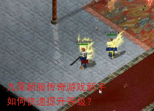 九尾新服传奇游戏新手如何快速提升等级? 九尾新服传奇游戏新手如何快速提升等级?