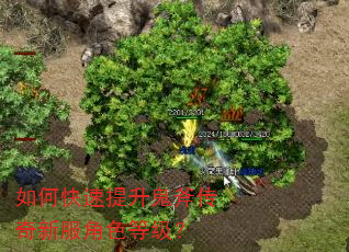 如何快速提升鬼斧传奇新服角色等级? 如何快速提升鬼斧传奇新服角色等级?
