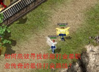 如何高效寻找新服打金单职业传奇的最佳打金路线? 如何高效寻找新服打金单职业传奇的最佳打金路线?