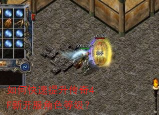如何快速提升传奇4F新开服角色等级? 如何快速提升传奇4F新开服角色等级?