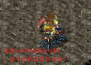 最新sf999传奇发布网,新手如何选择与玩转? 最新sf999传奇发布网,新手如何选择与玩转?