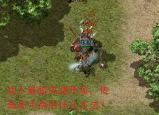 战士最新快速升级,传奇高手都用什么方法? 战士最新快速升级,传奇高手都用什么方法?