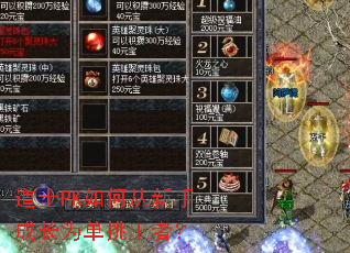 道士PK如何从新手成长为单挑王者? 道士PK如何从新手成长为单挑王者?