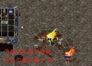 仿盛大私服与传世,这些你都弄懂了吗? 仿盛大私服与传世,这些你都弄懂了吗?