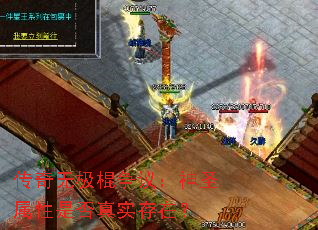 传奇无极棍争议:神圣属性是否真实存在? 传奇无极棍争议:神圣属性是否真实存在?