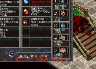 新手适合选择传奇法师职业吗? 新手适合选择传奇法师职业吗?