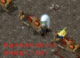 热血传奇赤月地图中到底隐藏着几个药店? 热血传奇赤月地图中到底隐藏着几个药店?