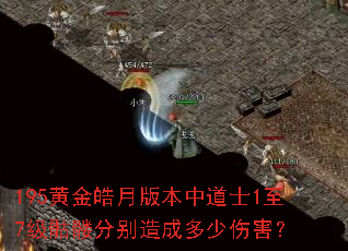 195黄金皓月版本中道士1至7级骷髅分别造成多少伤害? 195黄金皓月版本中道士1至7级骷髅分别造成多少伤害?