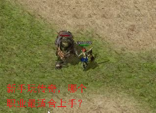 新手玩传奇,哪个职业最适合上手? 新手玩传奇,哪个职业最适合上手?