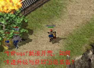 传奇cqsf新服开荒,如何快速升级与获取顶级装备? 传奇cqsf新服开荒,如何快速升级与获取顶级装备?