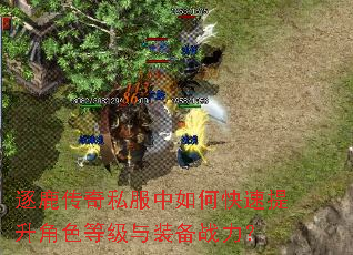 逐鹿传奇私服中如何快速提升角色等级与装备战力? 逐鹿传奇私服中如何快速提升角色等级与装备战力?