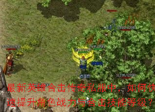 最新英雄合击传奇私服中,如何快速提升角色战力与合击技能等级? 最新英雄合击传奇私服中,如何快速提升角色战力与合击技能等级?