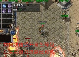 如何快速提升角色等级?求高效打怪路线攻略 如何快速提升角色等级?求高效打怪路线攻略