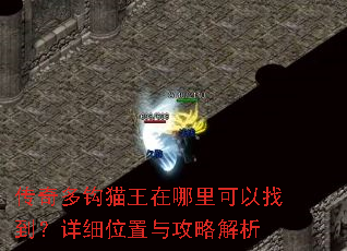 传奇多钩猫王在哪里可以找到?详细位置与攻略解析 传奇多钩猫王在哪里可以找到?详细位置与攻略解析